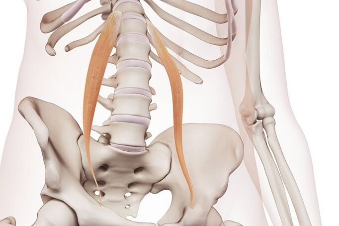 osteocondrosi spinale nella regione lombare l'essenza della malattia